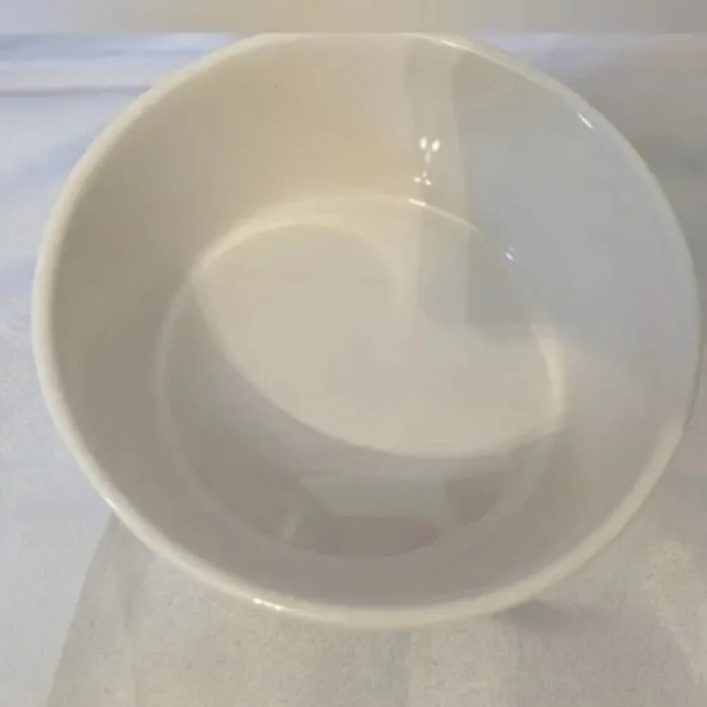 Brand New Rae Dunn 6" Drink Pet Bowl - Picture 2 of 4